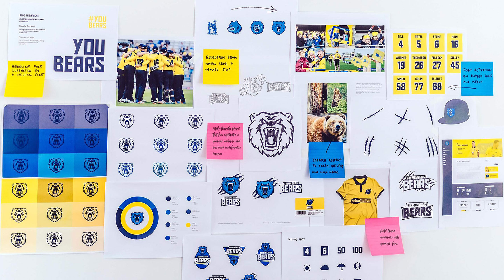 Birmingham Bears branding and logo creation mock ups