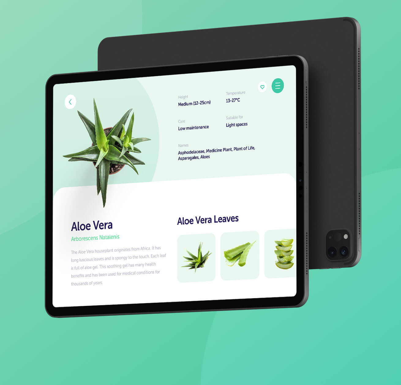 A tablet showing an aloe vera plant